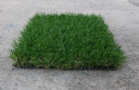 Erba NATURAL 40